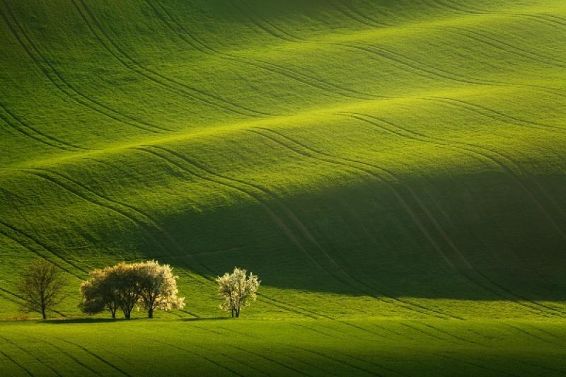 Romanticky zlvněná Jižní Morava