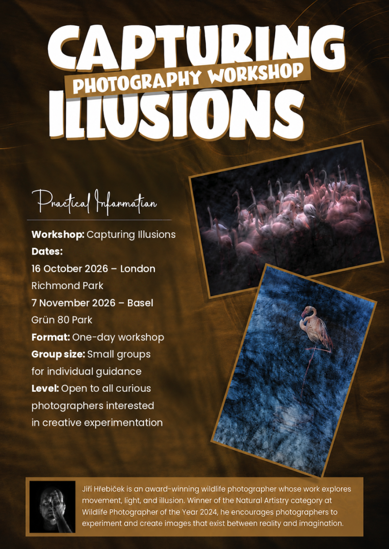 Capturing Illusions